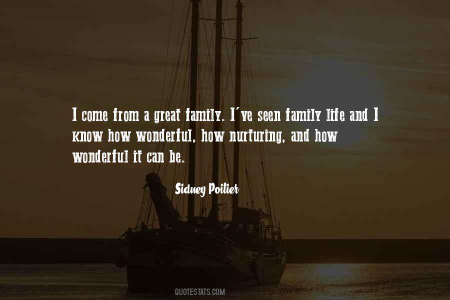 Quotes About A Wonderful Family #15651