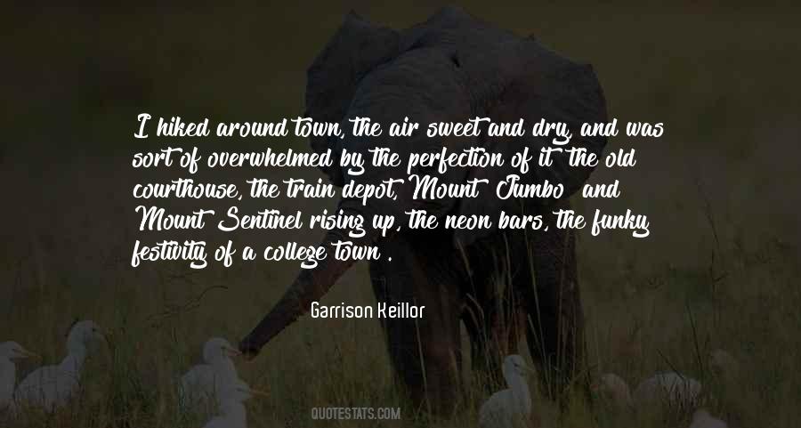 The Sentinel Quotes #804666