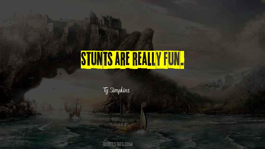 Quotes About Stunts #1013935