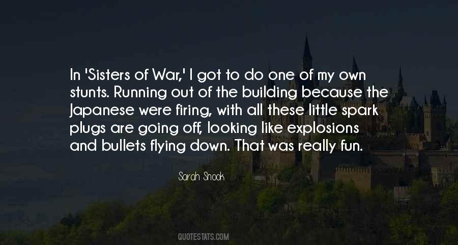 Quotes About Stunts #26886