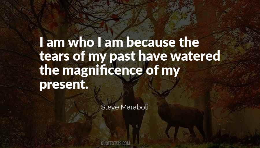 Magnificence Of Life Quotes #1725780
