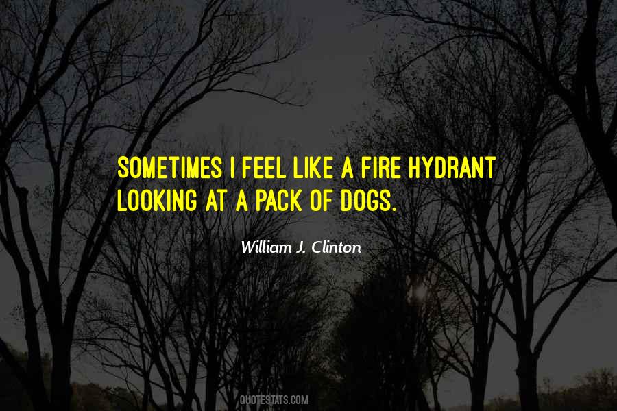 Quotes About Fire Hydrant #351487