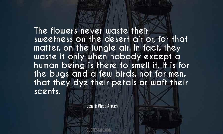 Quotes About Being Flowers #204734