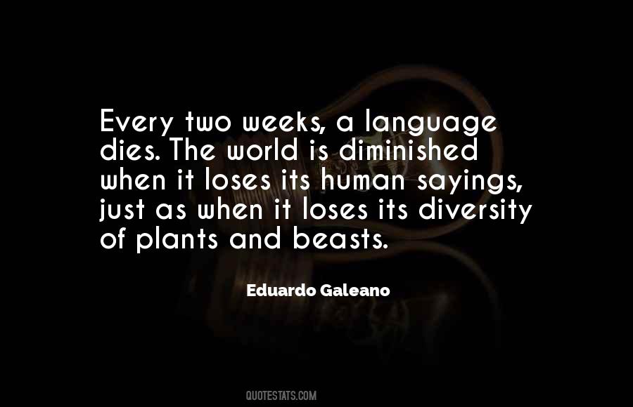 Quotes About Language Diversity #807960