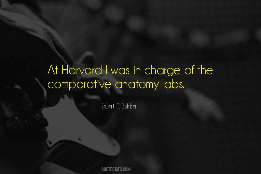 Quotes About Airplane Travel #1205454 Quotes About Airplane Travel #1205454
