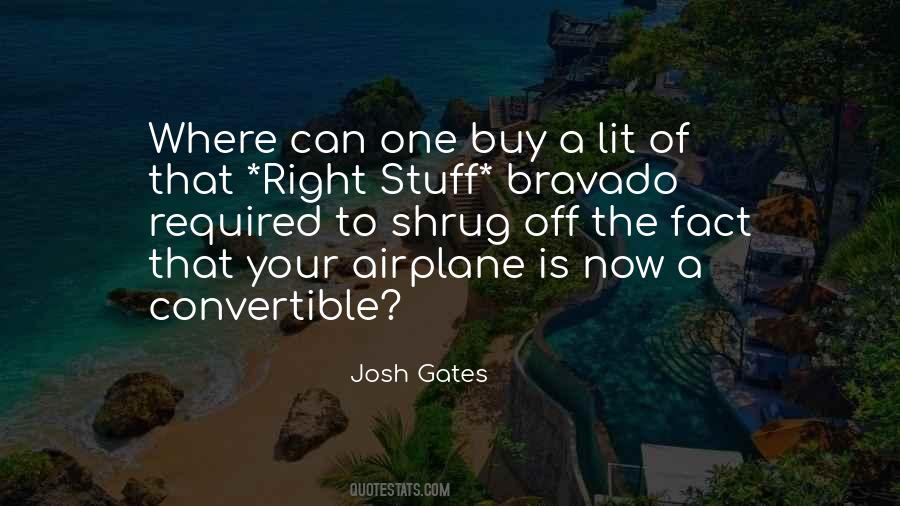 Quotes About Airplane Travel #1517313 Quotes About Airplane Travel #1517313