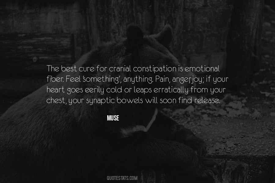Quotes About Chest Pain #1849200