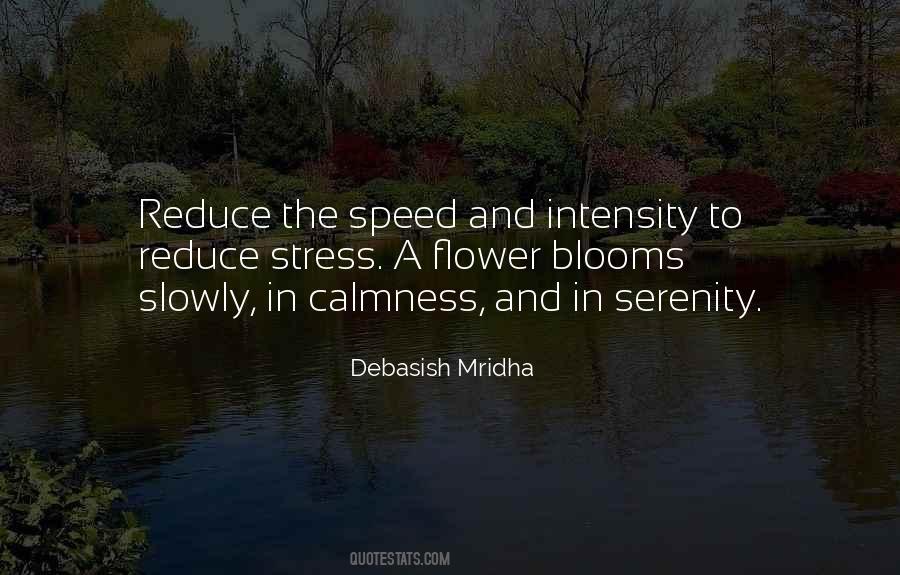 Quotes About Calmness #1752669
