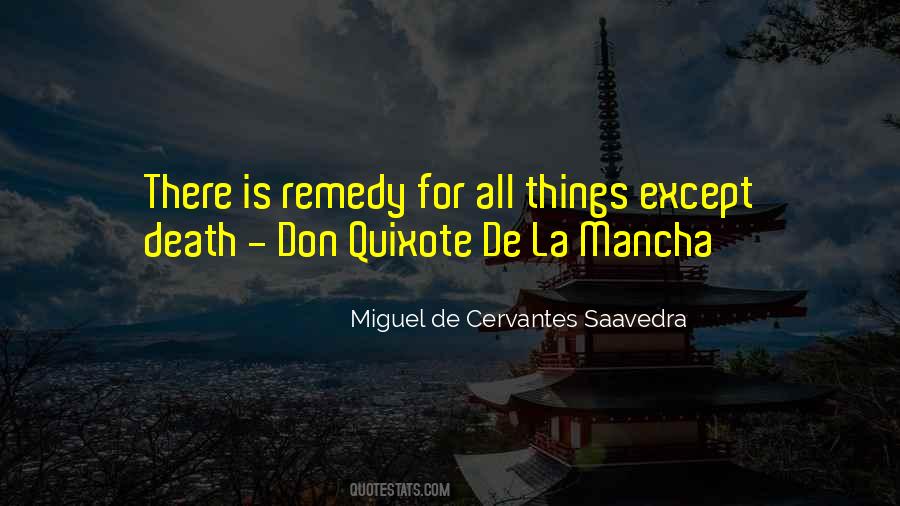 Don Quixote De La Mancha Quotes #32482