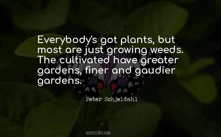 Quotes About Growing Plants #20694