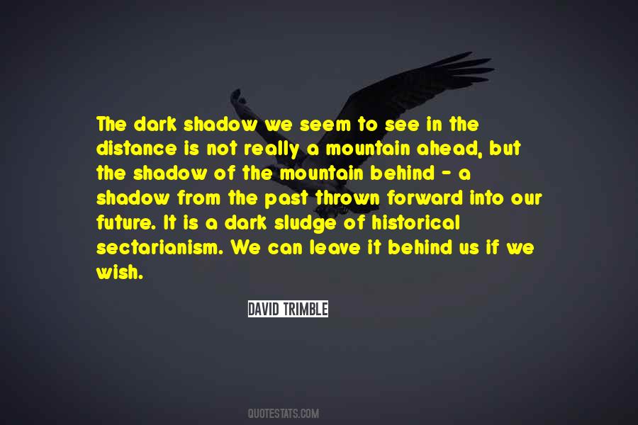 If From The Distance Quotes #423735