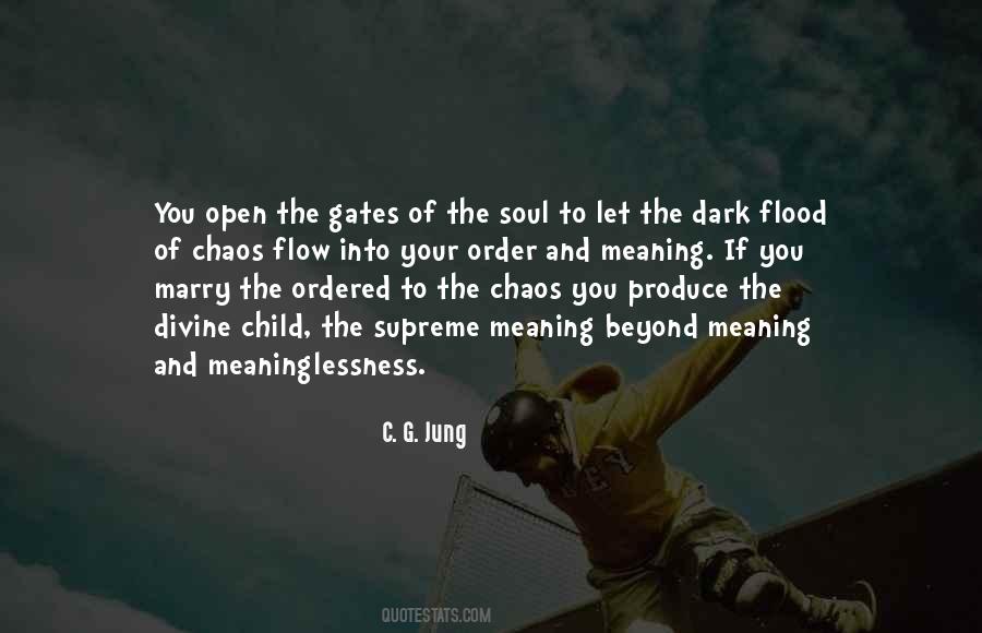 Dark Divine Quotes #1485309