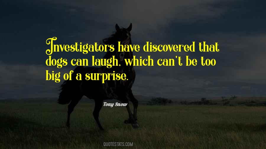 Quotes About Investigators #145863