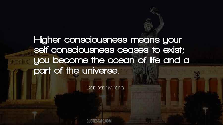 Quotes About Higher Consciousness #1418446