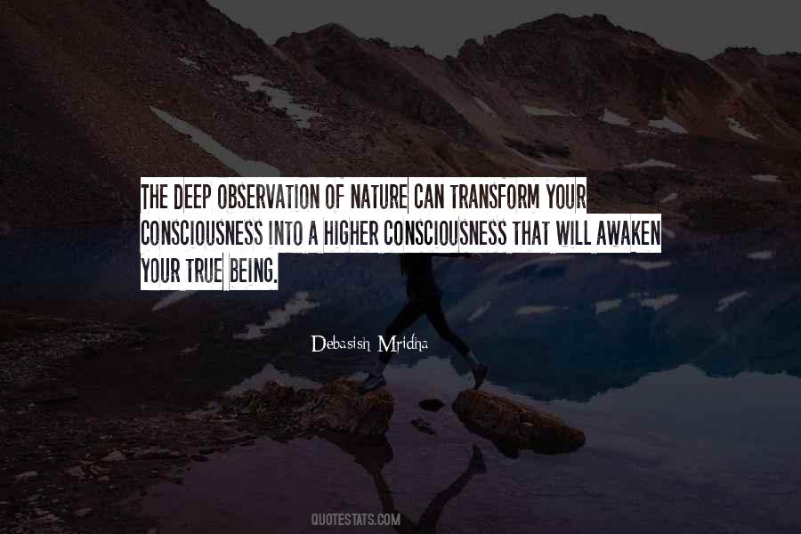 Quotes About Higher Consciousness #174196