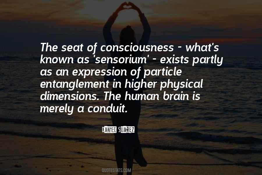 Quotes About Higher Consciousness #369202
