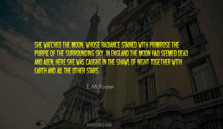 Quotes About The Night Sky And Stars #845352