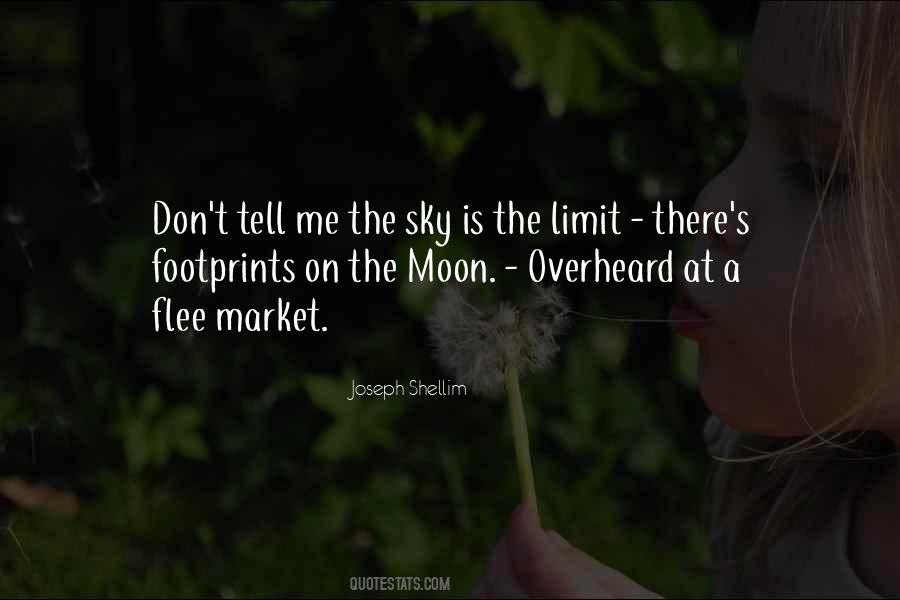 Quotes About Sky's The Limit #1265401
