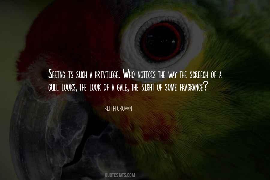 Quotes About Vision Seeing #1236771