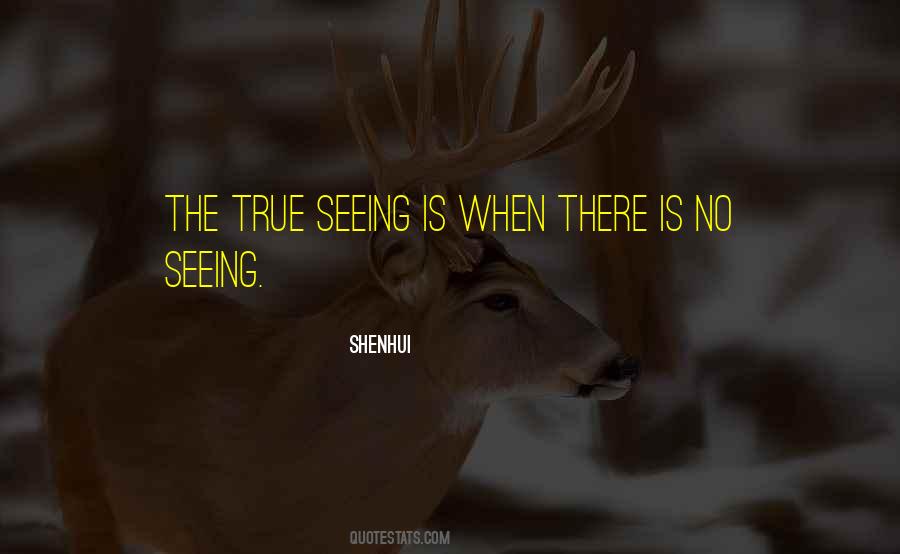 Quotes About Vision Seeing #521268