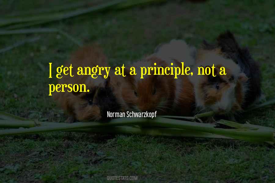 Quotes About Angry Person #1513573