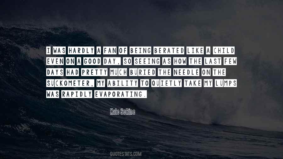 Quotes About A Pretty Day #93212
