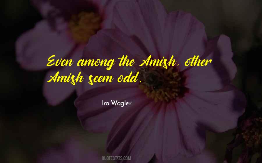 Quotes About Amish #58781