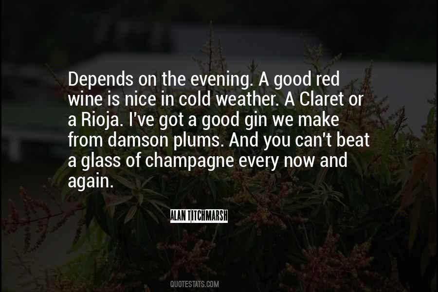 Quotes About A Good Evening #831251