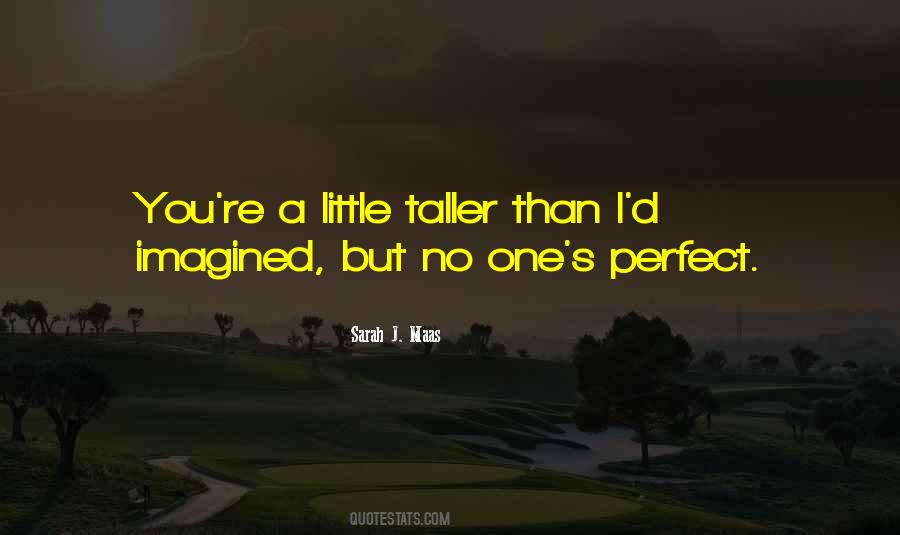 Quotes About No One's Perfect #853174