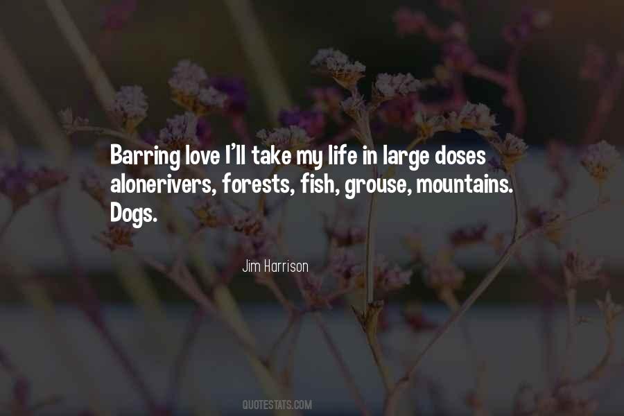 Quotes About Large Dogs #1763495