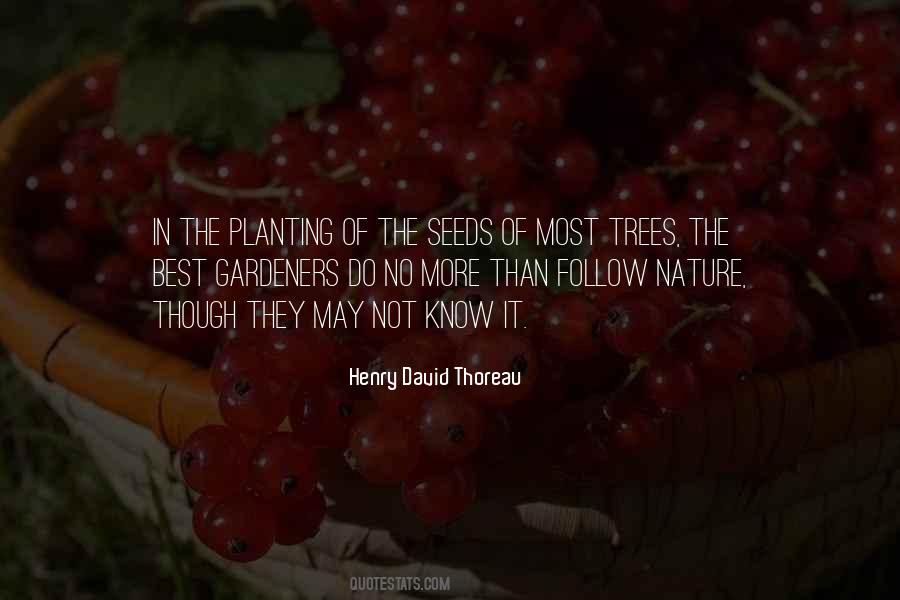 Quotes About Planting Seeds #174401