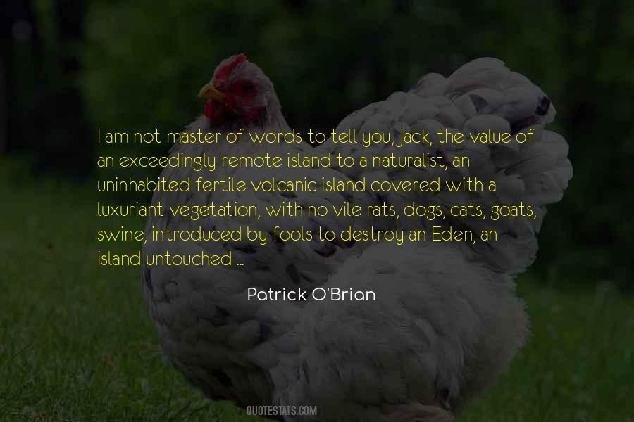 Words Master Quotes #1385883