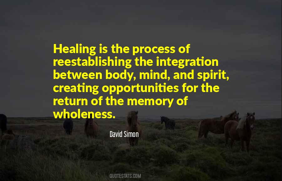 Quotes About The Healing Process #1354131