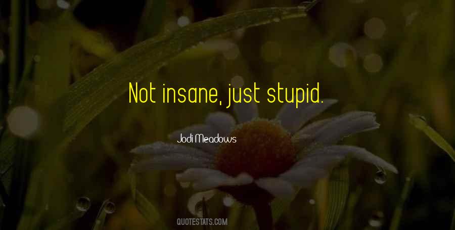 Quotes About Insane #1604797