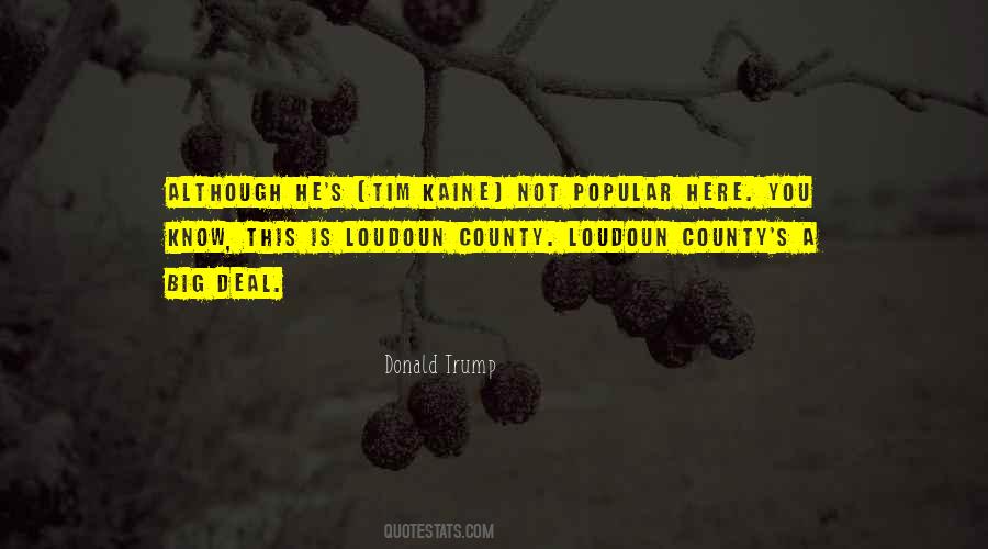 Quotes About Not A Big Deal #476805 Quotes About Not A Big Deal #476805