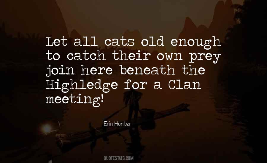 Cats Prey Quotes #1824341