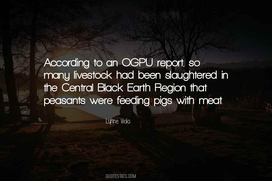 Quotes About Report #1345828
