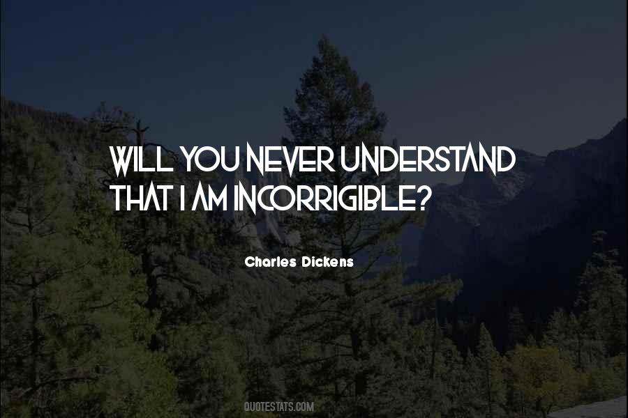 Quotes About You Will Never Understand #1194081