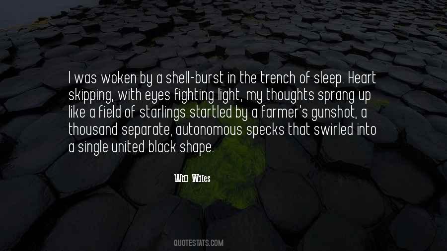 Quotes About A Shell #1194010