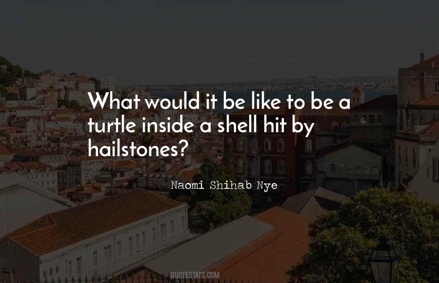 Quotes About A Shell #348242