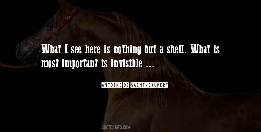 Quotes About A Shell #368890
