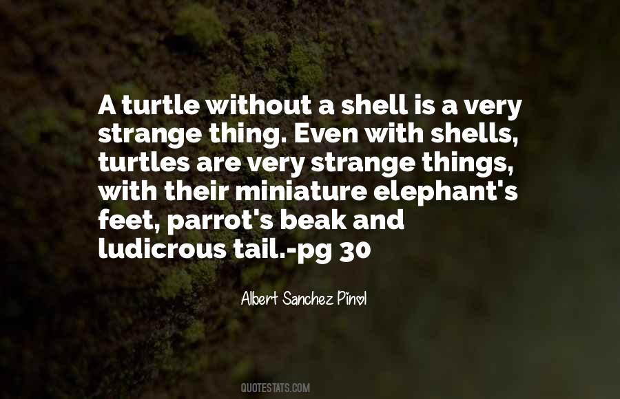 Quotes About A Shell #828066