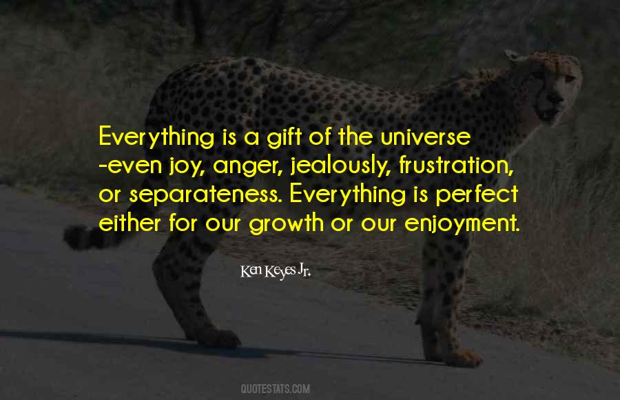 Universe Of Joy Quotes #1535408