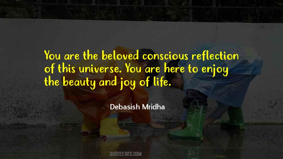 Universe Of Joy Quotes #678052