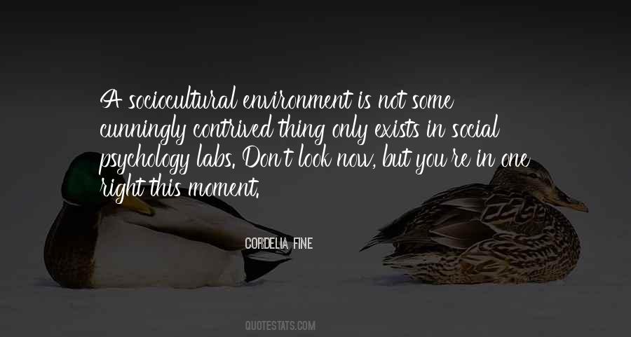 Quotes About Labs #1213344