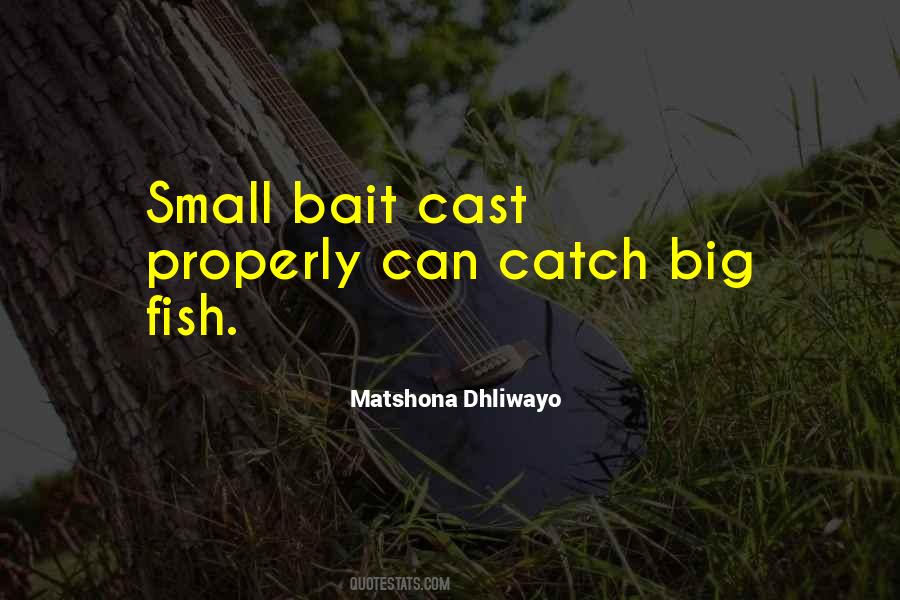 Quotes About Small Fish #1025645