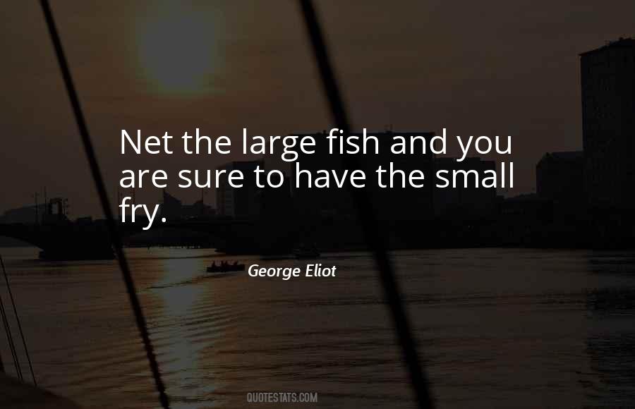 Quotes About Small Fish #1122240