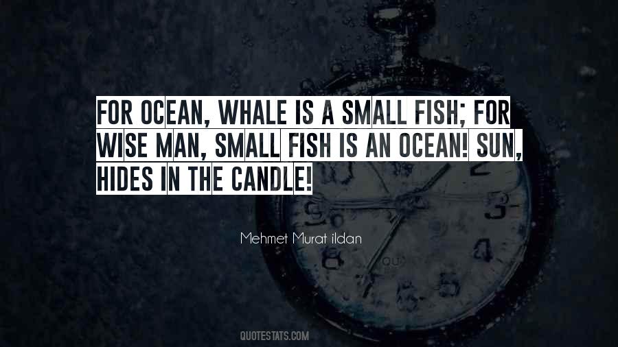 Quotes About Small Fish #1578800