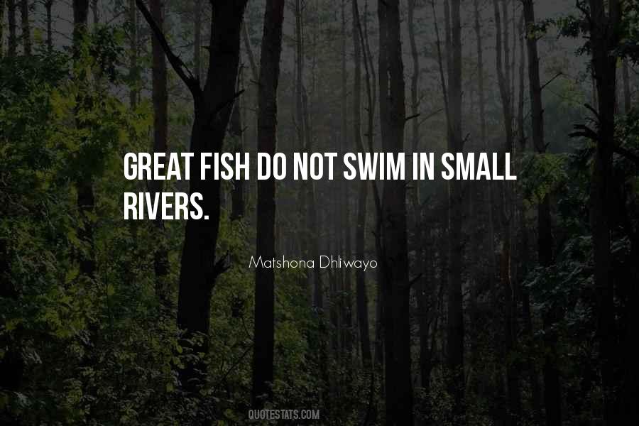 Quotes About Small Fish #1688304