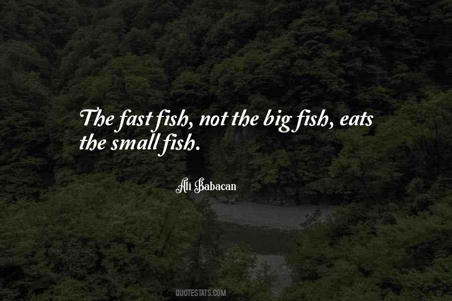 Quotes About Small Fish #1722408